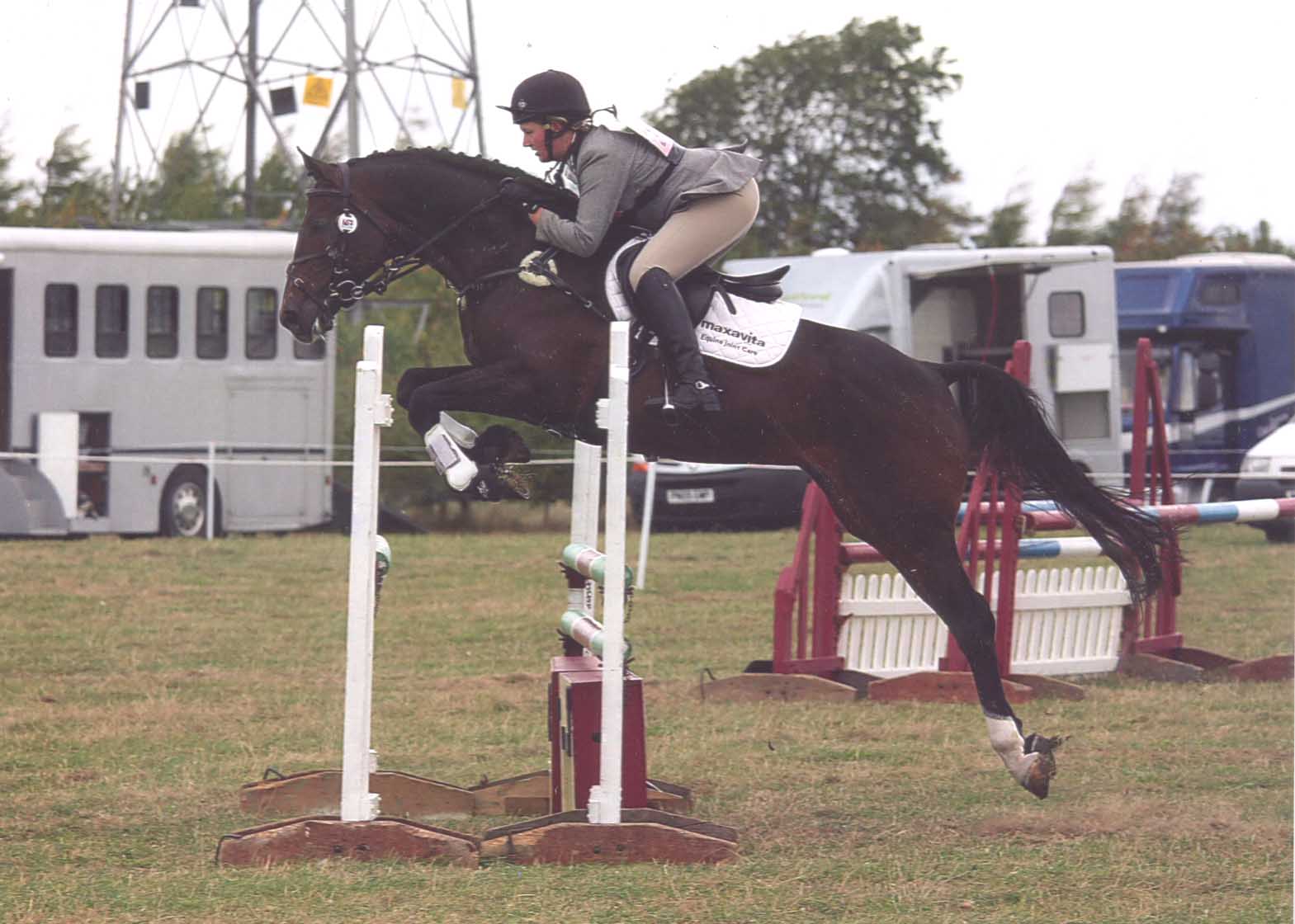 Katy Holder-Vale's Witcham House Farm Stud breeding Hanoverian stallions for dressage introduces Classic Juan.