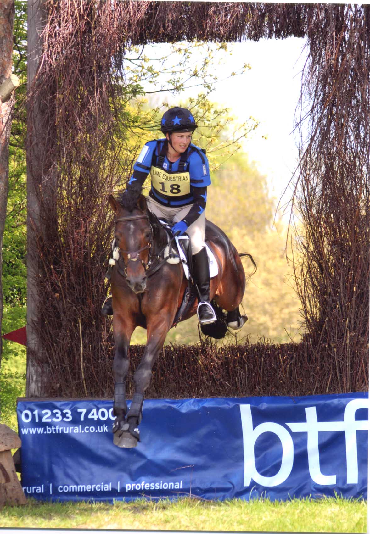 Katy Holder-Vale's Witcham House Farm Stud breeding Hanoverian stallions for dressage introduces Classic Juan.