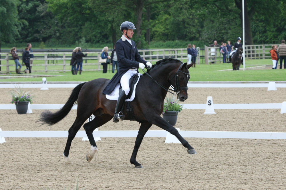 Katy Holder-Vale's Witcham House Farm Stud breeding Rhienland stallions for dressage introduces Samba Hit III.