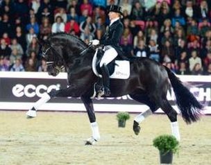 Katy Holder-Vale's Witcham House Farm Stud breeding Rhineland stallions for dressage introduces Samba Hit III.